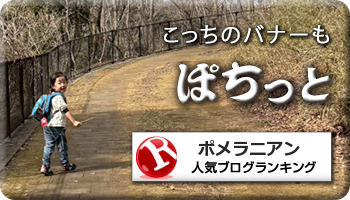 人気ブログランキング