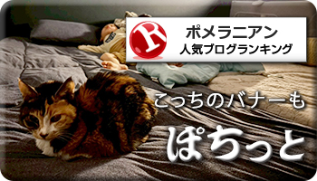 人気ブログランキング